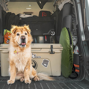 Camping Shower Tent 7FT Instant Up Privacy Tents, Portable Toilet Tent Outdoor Dressing Room, Foldable Camp Sun Shelter For Beach Fishing